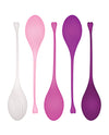 Evolved Tight &amp; Delight 5 pc Weighted Kegel Ball Set - Assorted Colors