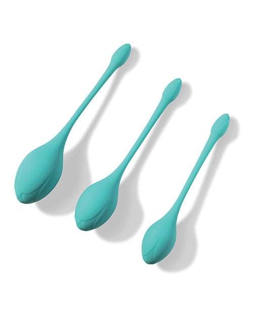 Bluebell Floral 3 Size Weight Kegel Ball Exercise Set - Blue