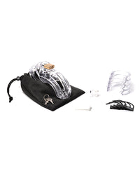 The Curve 3 3/4&quot; Curved Cock Cage &amp; Lock Set - Clear