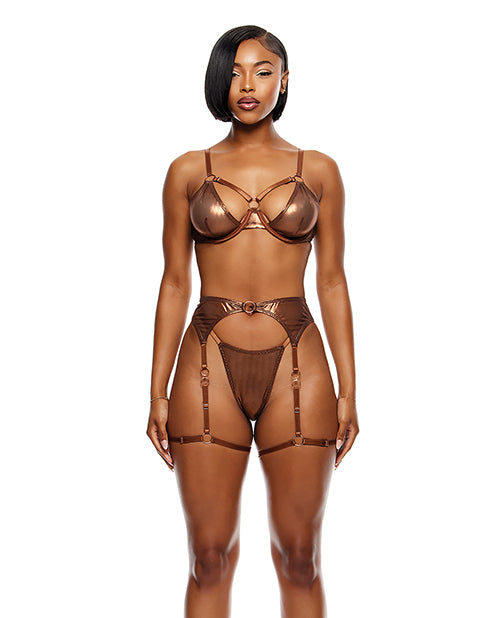 Liquid Metal Metallic Mesh Underwire Bra w/Garter Belt G-String 3 pc Set - Metallic Copper LG