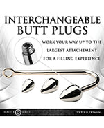 Master Series Anal Hook Trainer w/3 Plugs - Silver