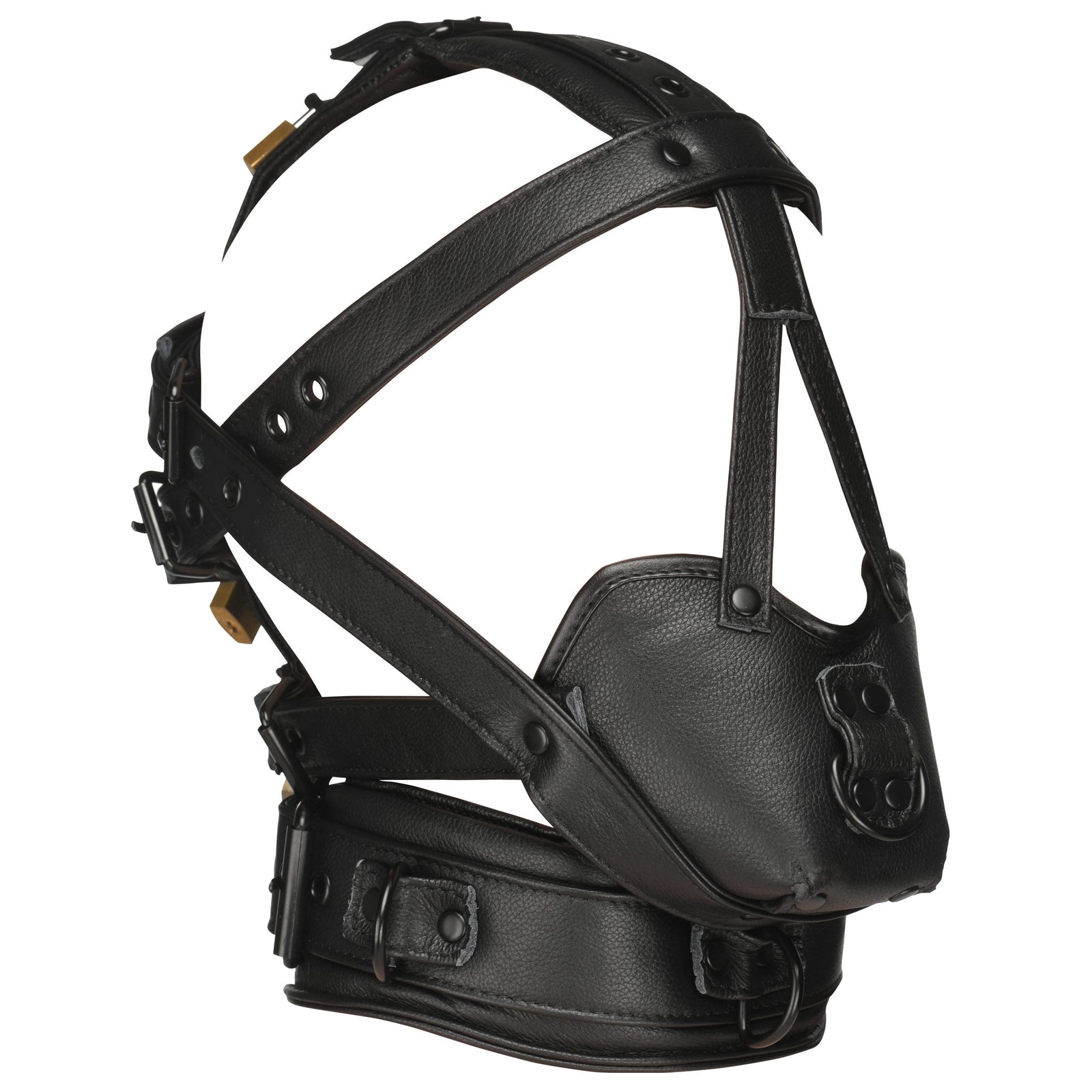 Leather Head Harness with Muzzle