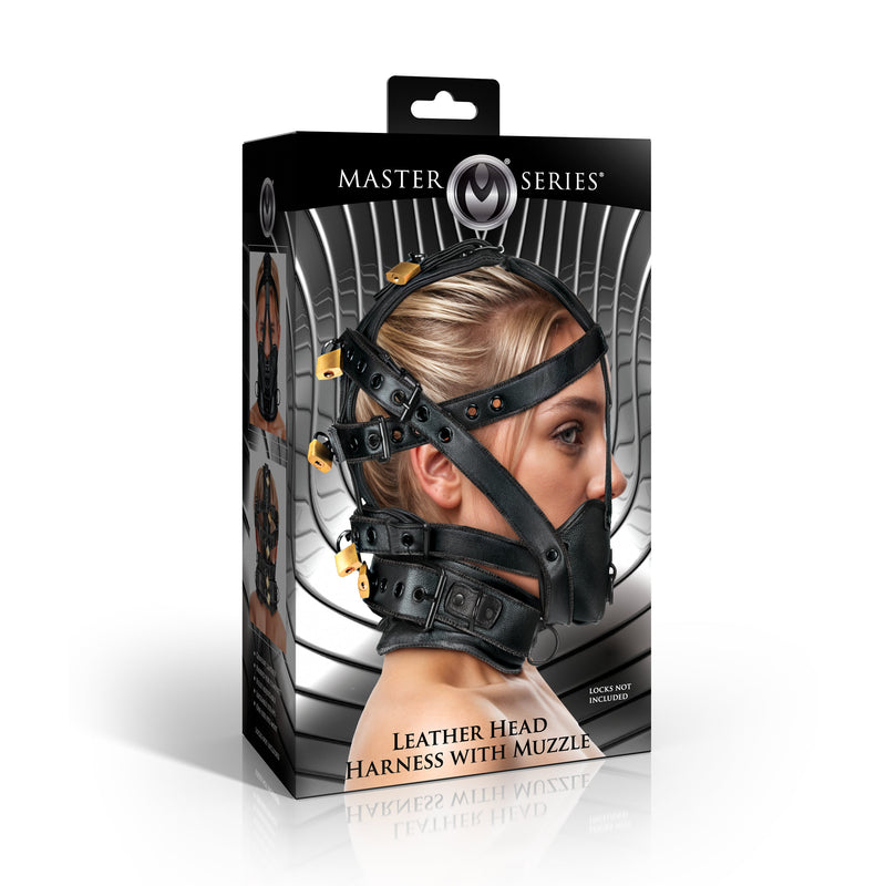 Leather Head Harness with Muzzle