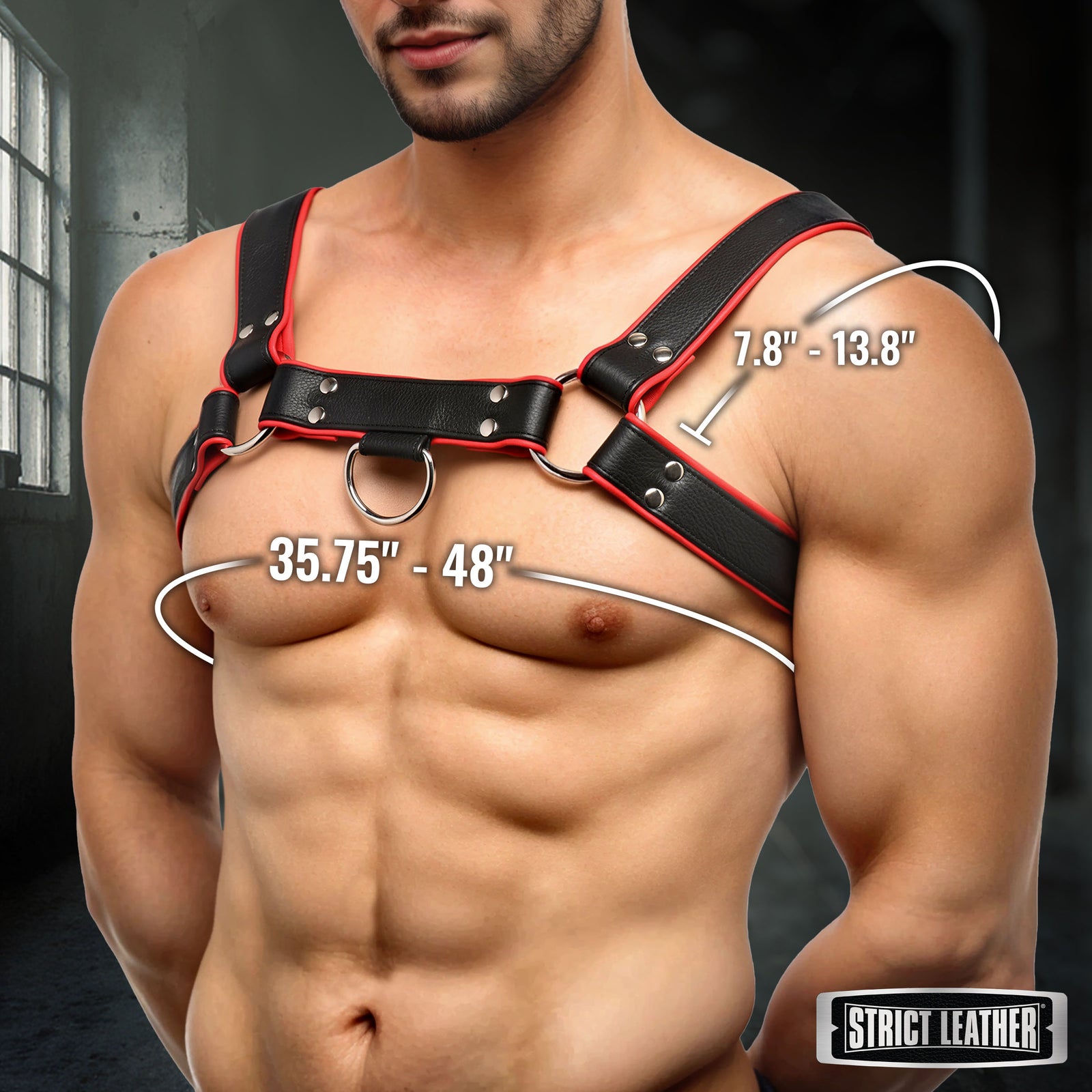 Leather English Bull Dog Harness Black/Red